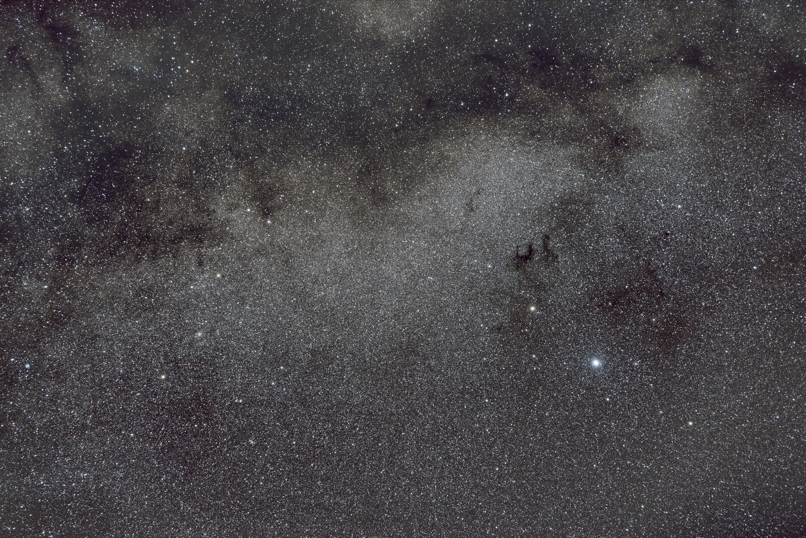 Dark nebulae near Altair