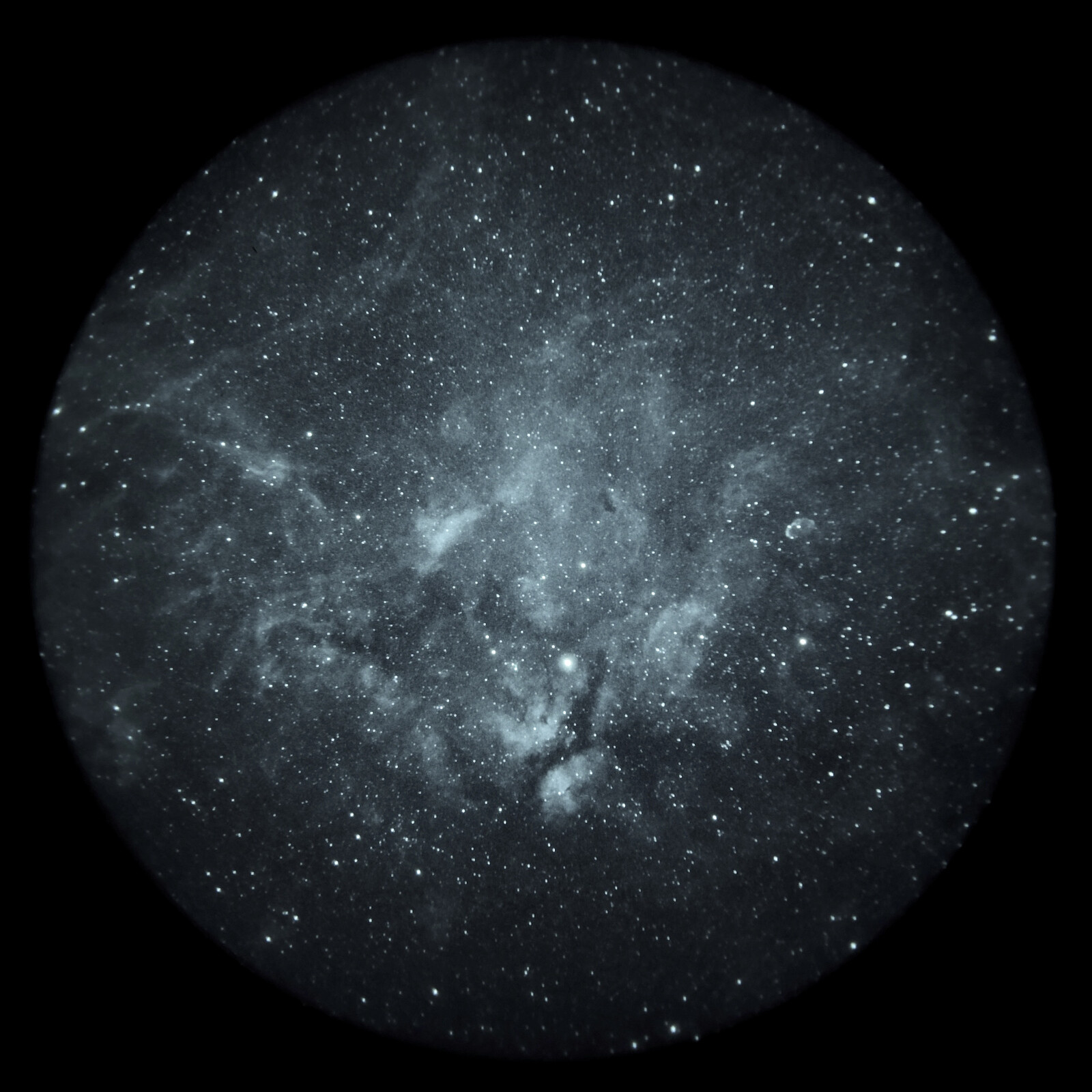 Gamma Cygni Complex with the Crescent and Propeller