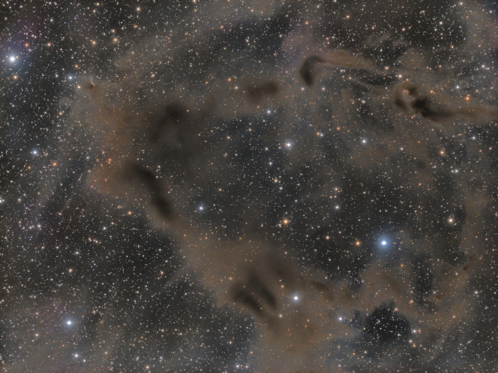 LBN468 And Gyulbudaghian's Nebula V2