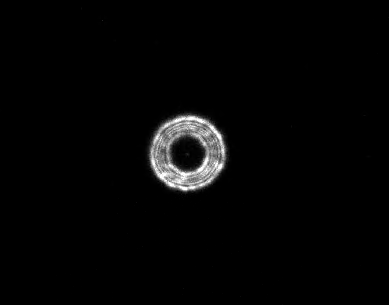 collimation 20190327