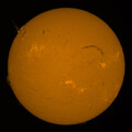 Solar Prominence 2023-07-28 09:55:56AM MDT