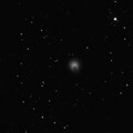 Comet 12P/Pons-Brooks 2023-07-25