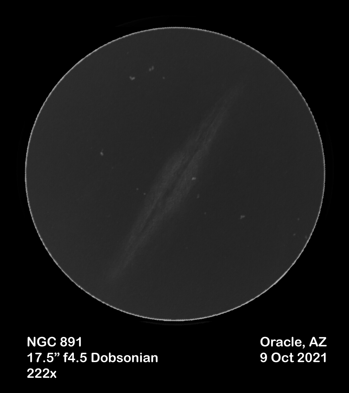 NGC 891 sketch