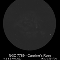 NGC 7789 - Caroline's Rose