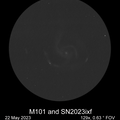 M101andSN2023ixf