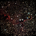 IC 1396 A   Elephant's Trunk Neb. ZWO ASI533MC Pro 20 X 20,0s = 400s 9 09 2023T23 38 45