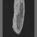 Lunar 073: Mare Smythii (difficult-to-observe basin scarp and mare)
