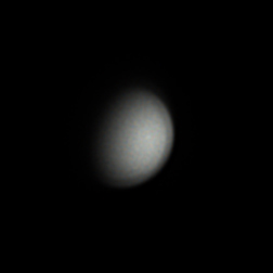 Venus RSDayBigR1 08122021