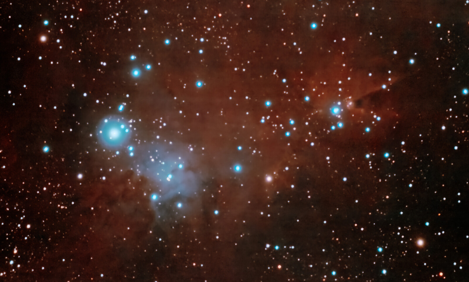 NGC2264-ChristmasTree-2nights_DSS_SiriL_AP-TD
