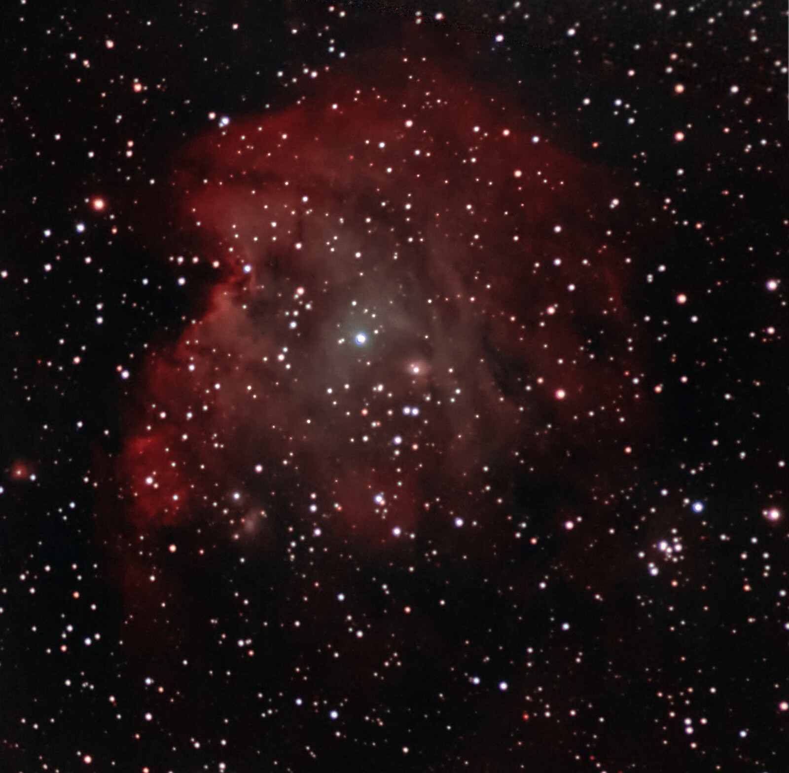 Monkey Head (NGC2174)