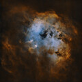 Tadpoles Nebula Starless