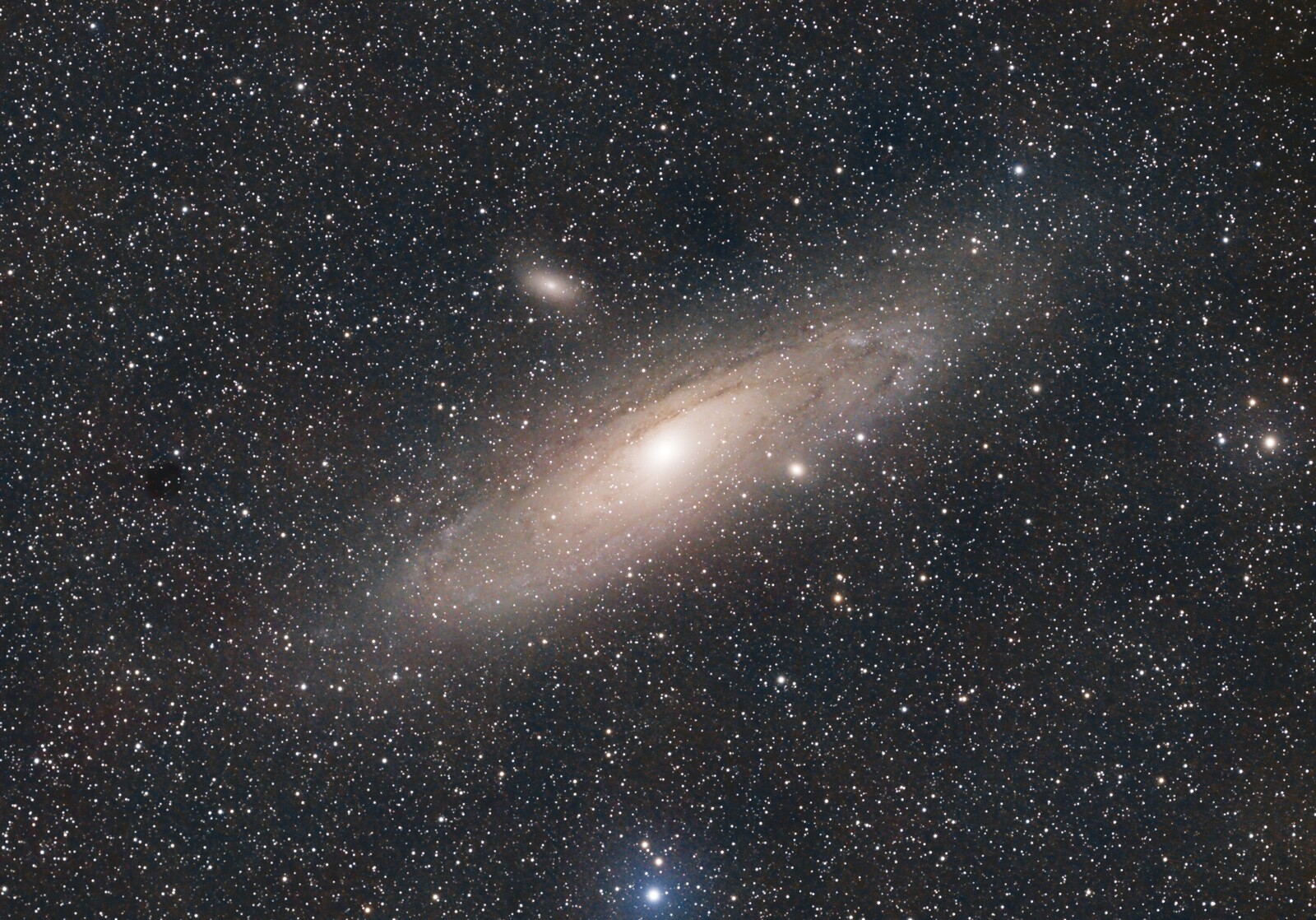 M31 from Duckman