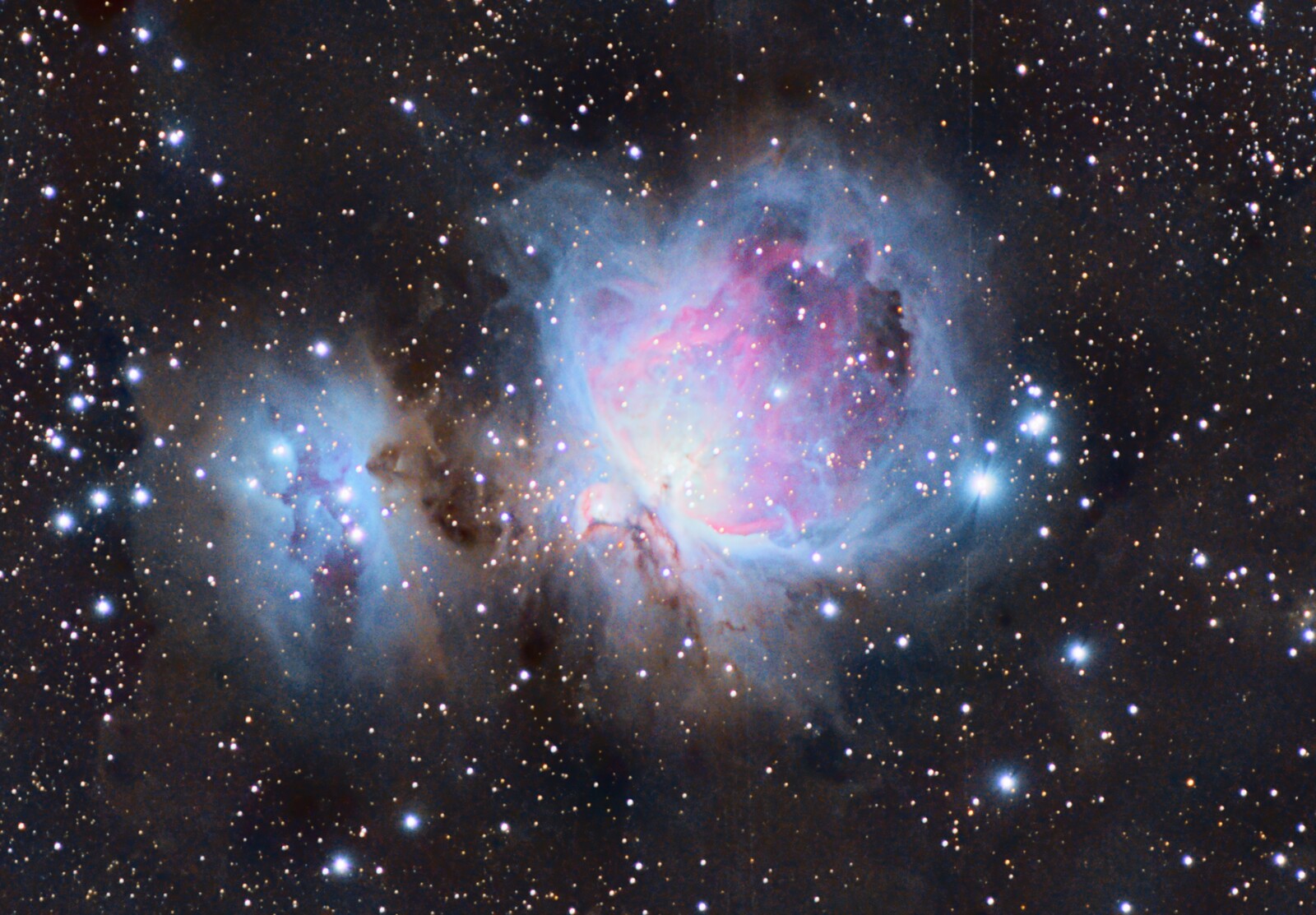M42 limeyx