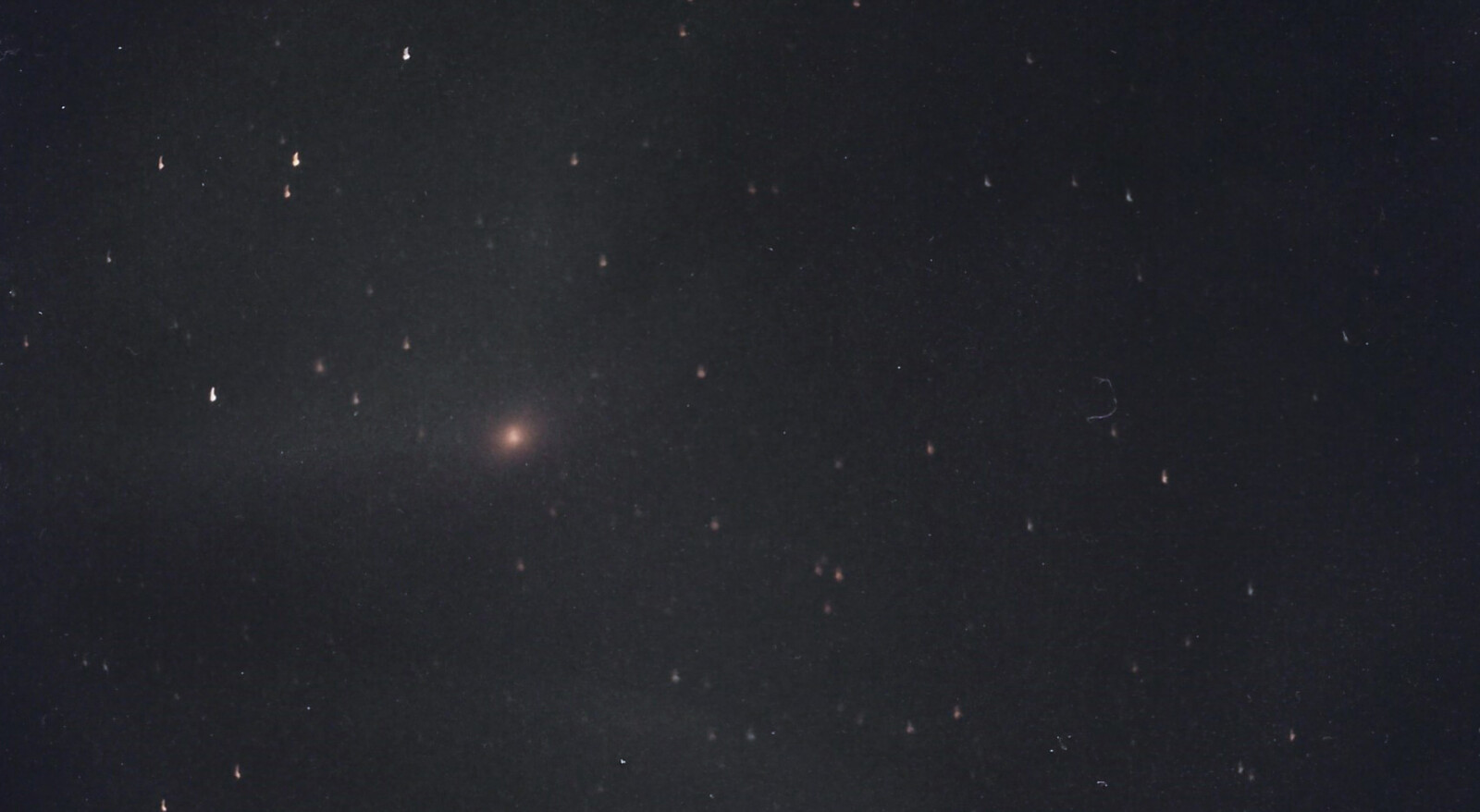 Andromeda 2000-3-8