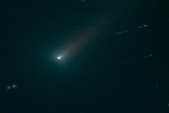 Comet C/2021 A1 (Leonard) 11-29-21
