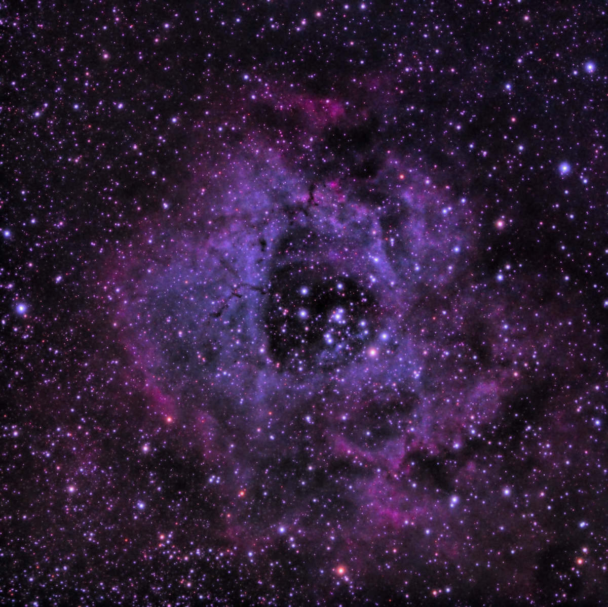 NGC2237 Freddy ST2B
