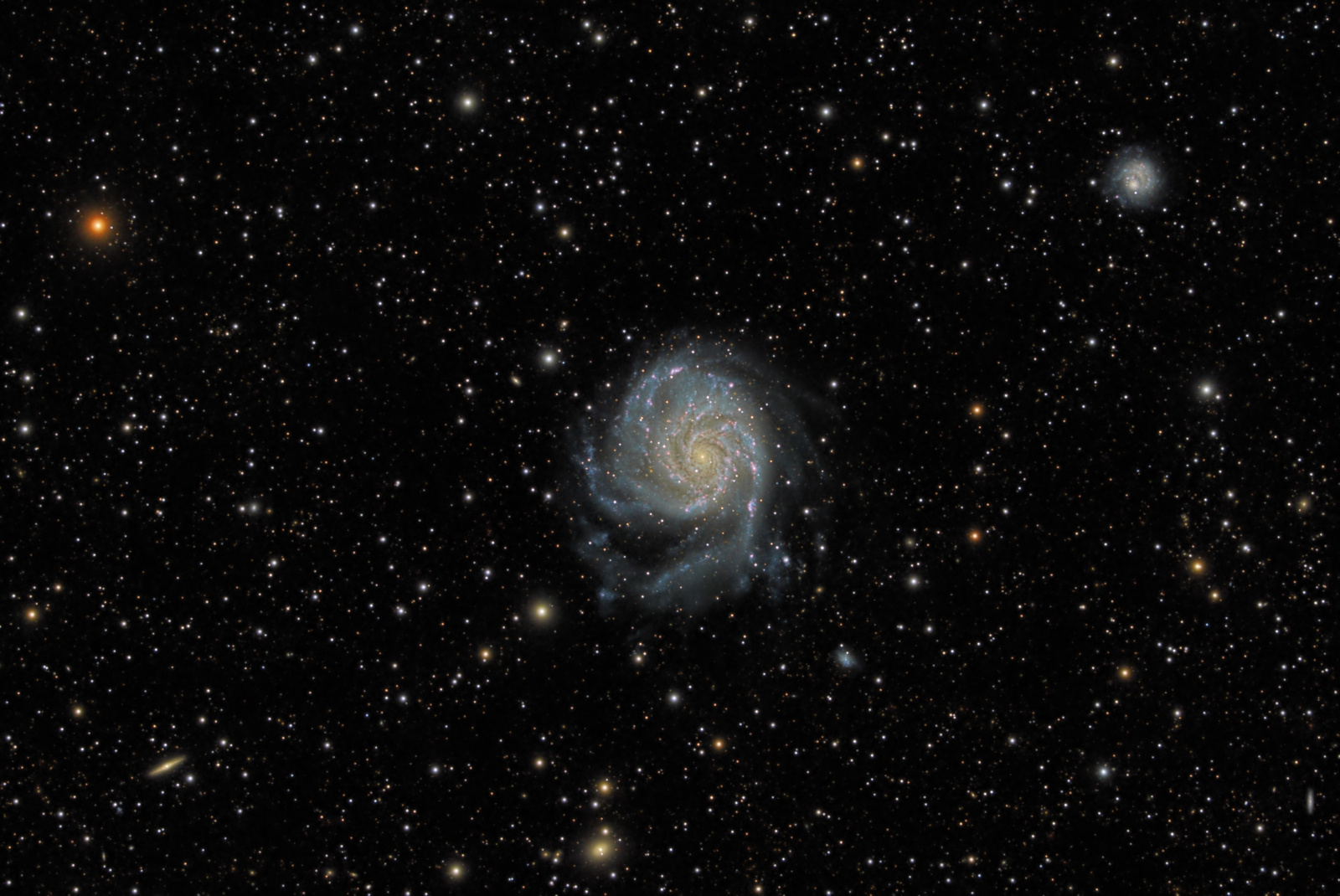 KungFood M101 RGB Ha Accents ST8 1C