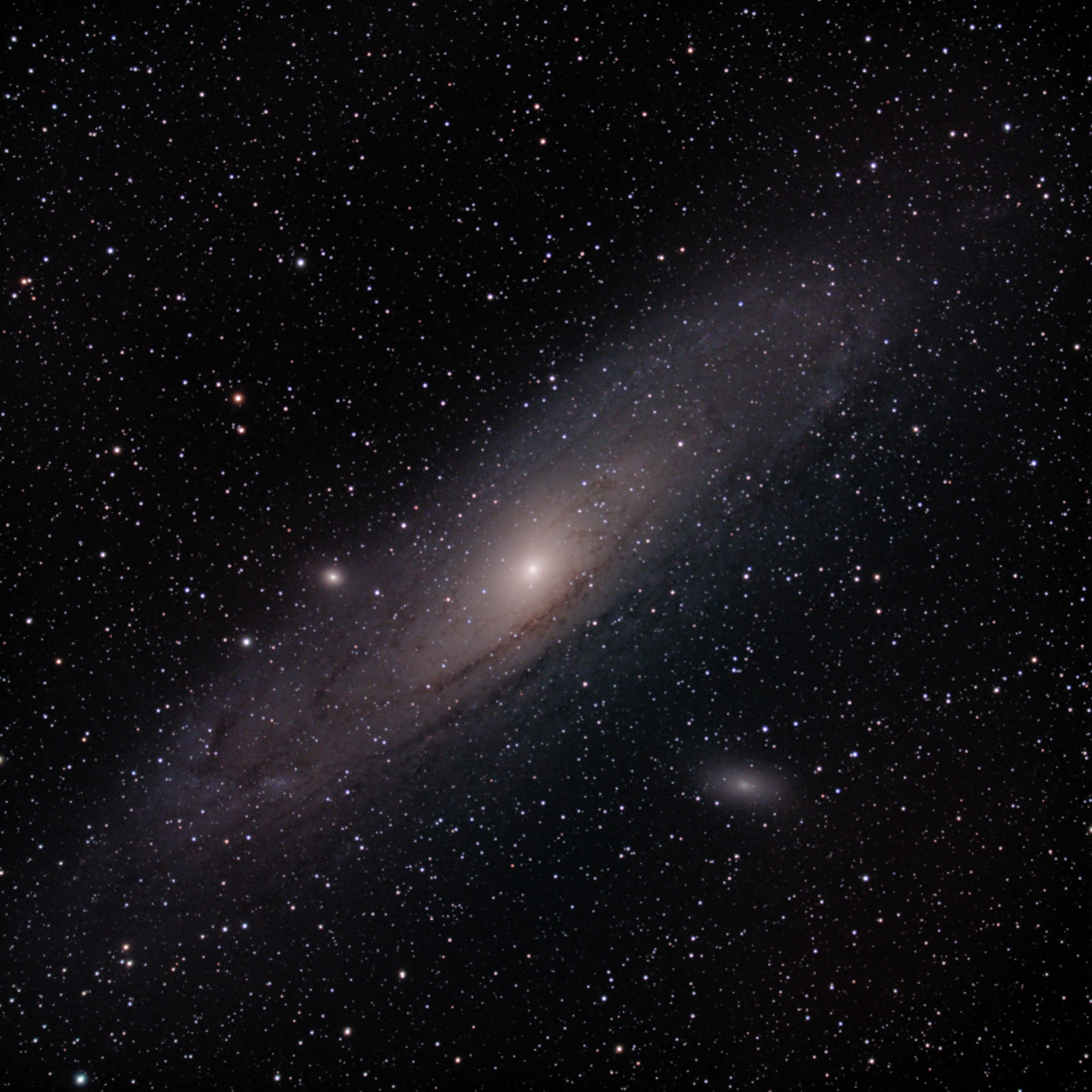 Sylon M31 DSS Aug14 ST8 4B