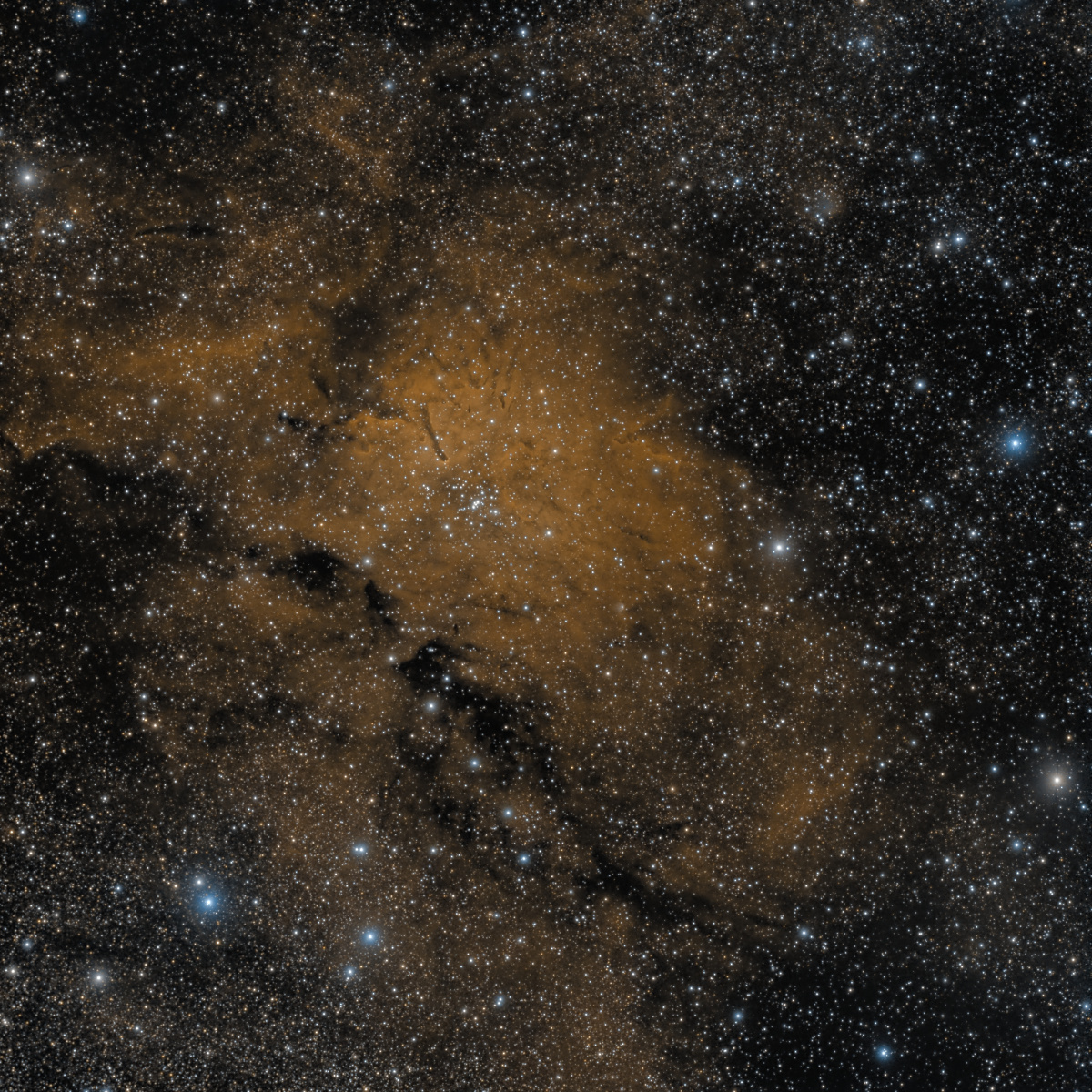 rgenier NGC6823 PreDBE ST8 1A