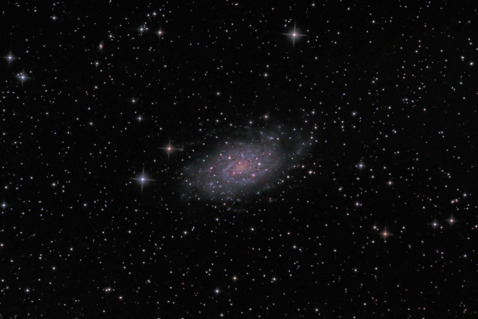 NGC2403 5h 100pct crop ST9 6Aviii 1600