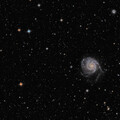 M101 8h LRGB ST9 551 71bin 8C blend SN 1600