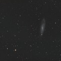 NGC247 LRGB