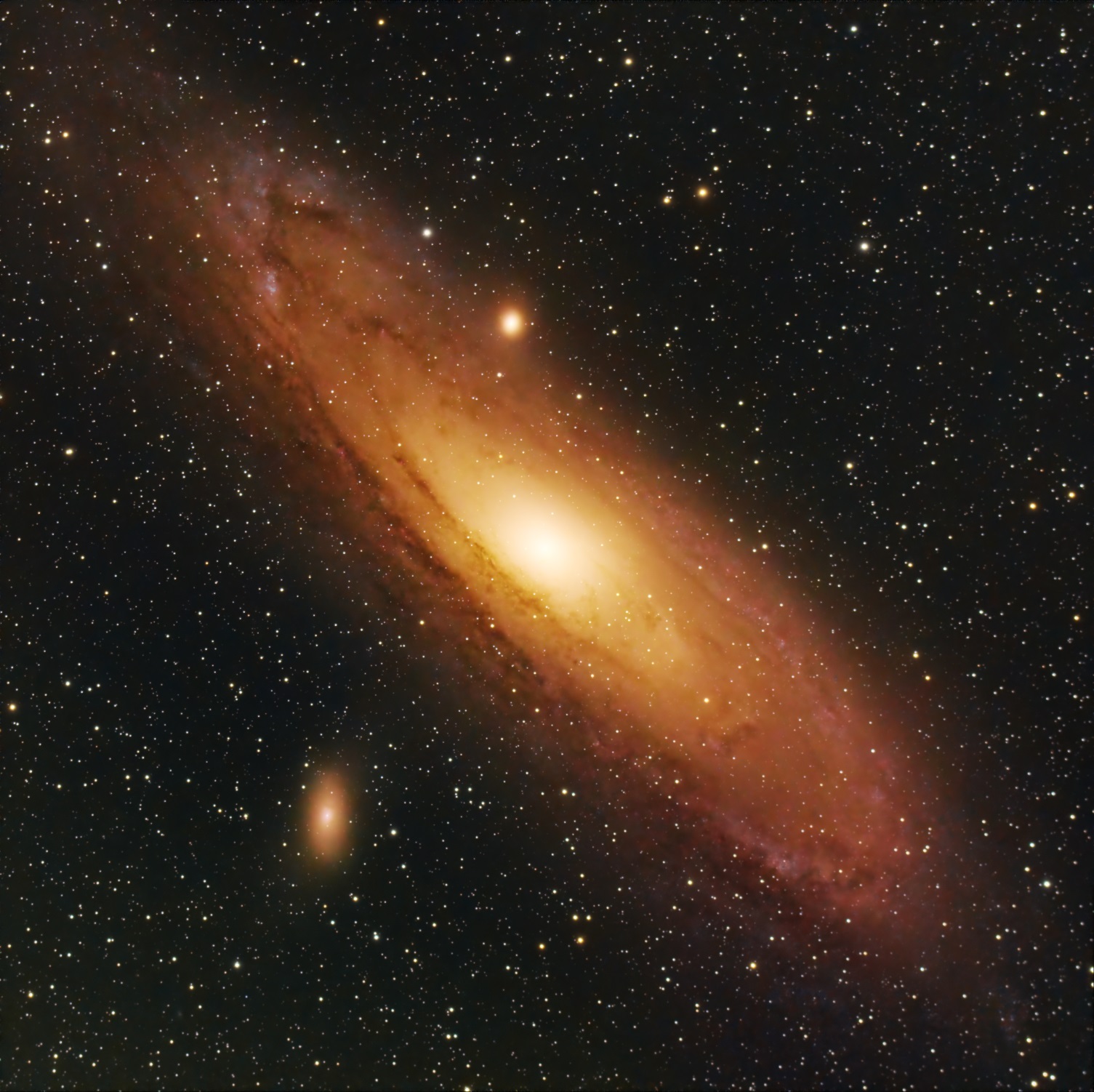 RoscoeD's M31