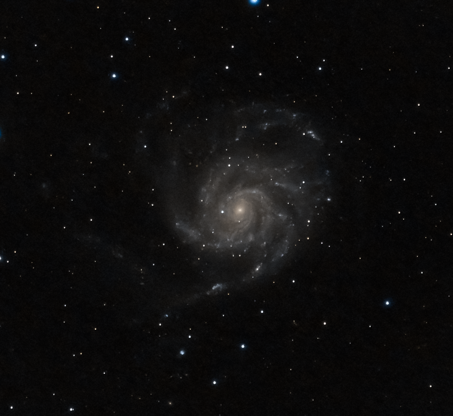 pinwheel galaxy