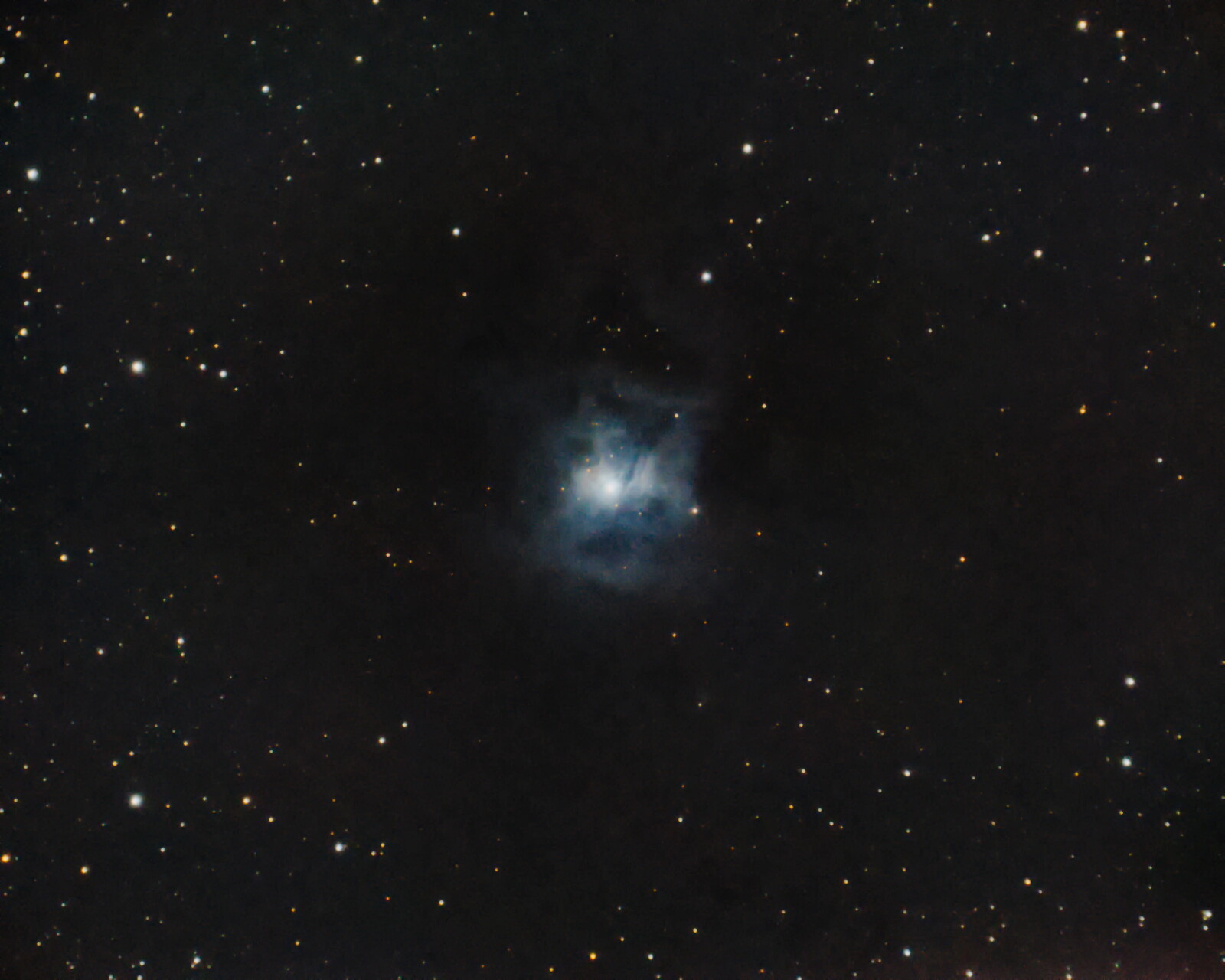 NGC 7023 (Iris Nebula)