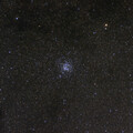 Messier 11 (Wild Duck Cluster)