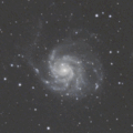 M101 Blink