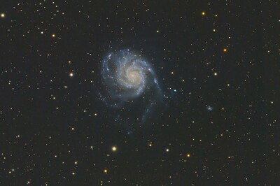 M101 three night