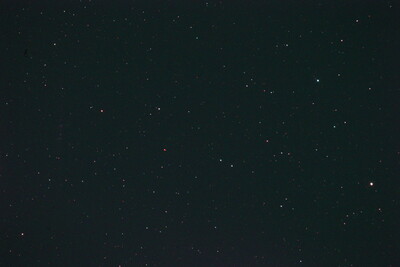 Cygnus Star-Field