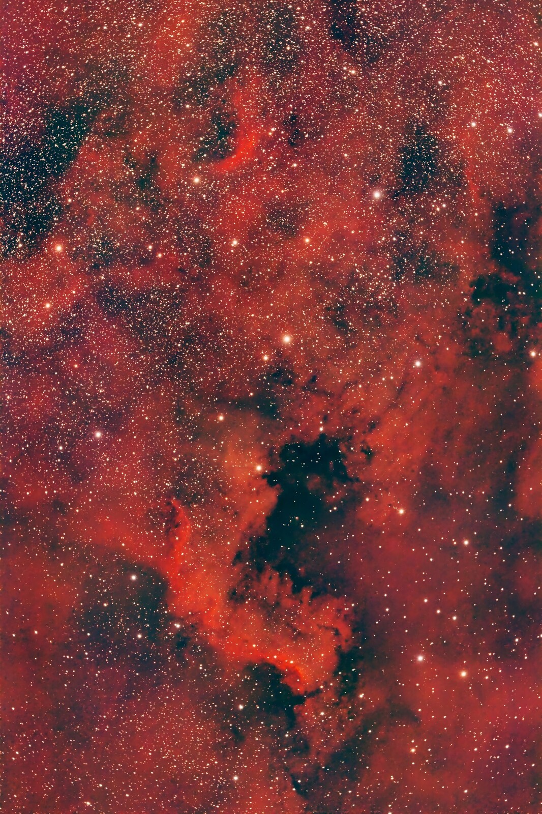 NGC7000 - North American Nebula - 13 July 2022