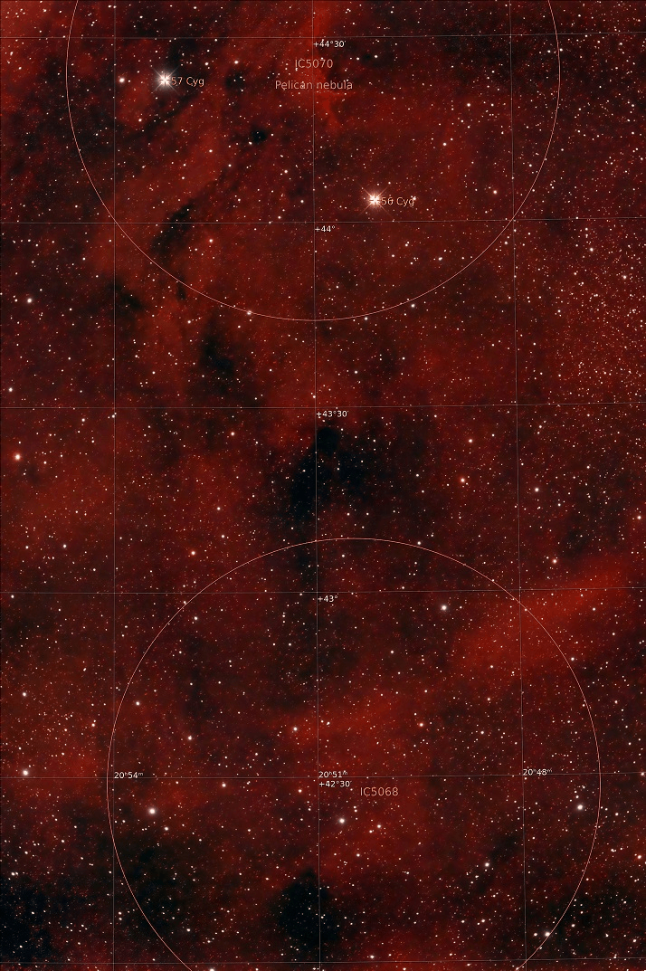 IC5070 - Pelican Nebula - 18 July 2022
