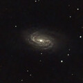 NGC2903 c11f10 2600 g350 br40 uvir 41F 61S APP PS23 01172023m