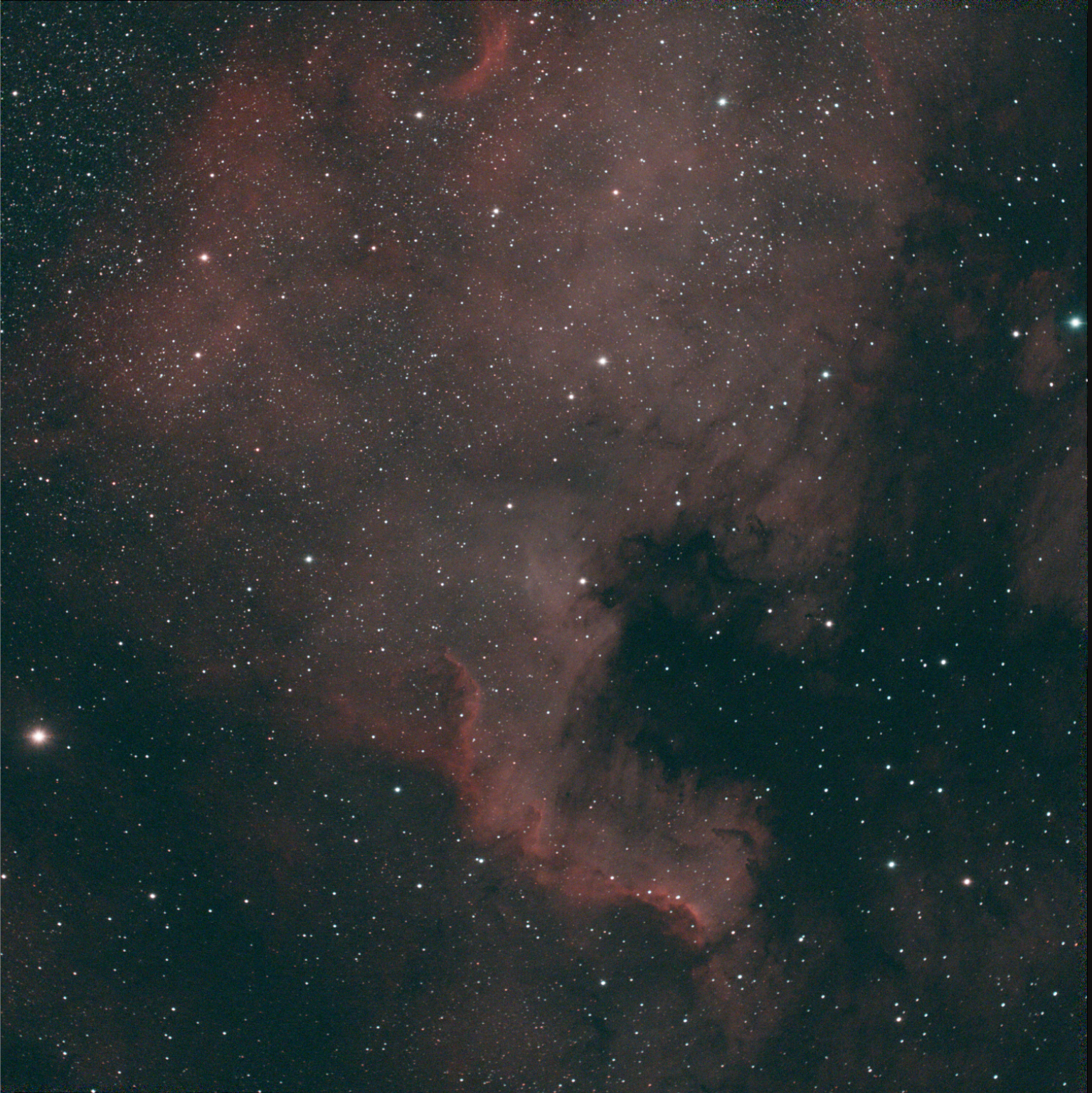 North America Nebula - NGC 7000