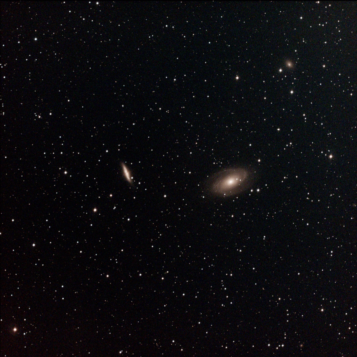 M81, M82, and NGC 3077