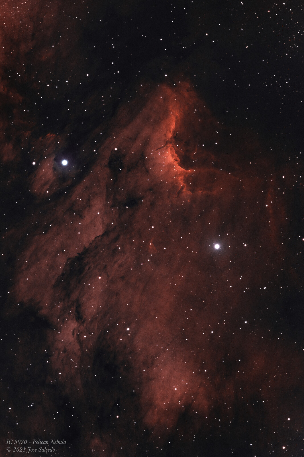 IC5070, the Pelican Nebula (HOO)