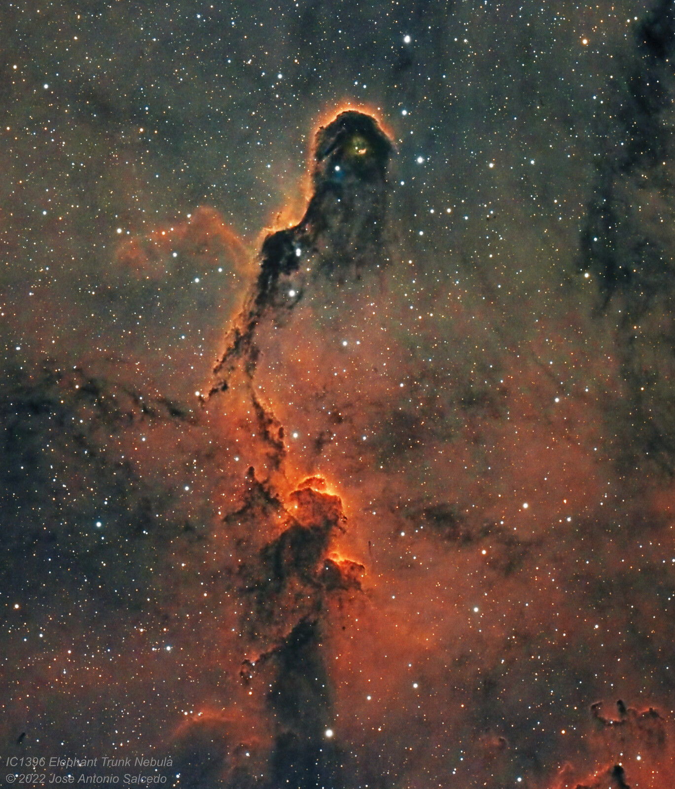 IC1396A, the Elephant Trunk Nebula