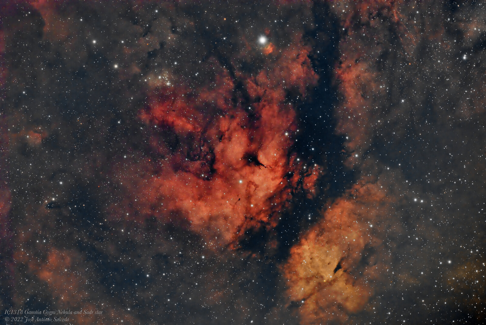 IC1318 Gamma Cygni Nebula and Sadr star