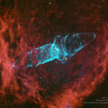Sh2-129, the Flying Bat and Giant Squid Nebula