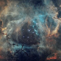 Another perspective on Caldwell49, the Rosette Nebula