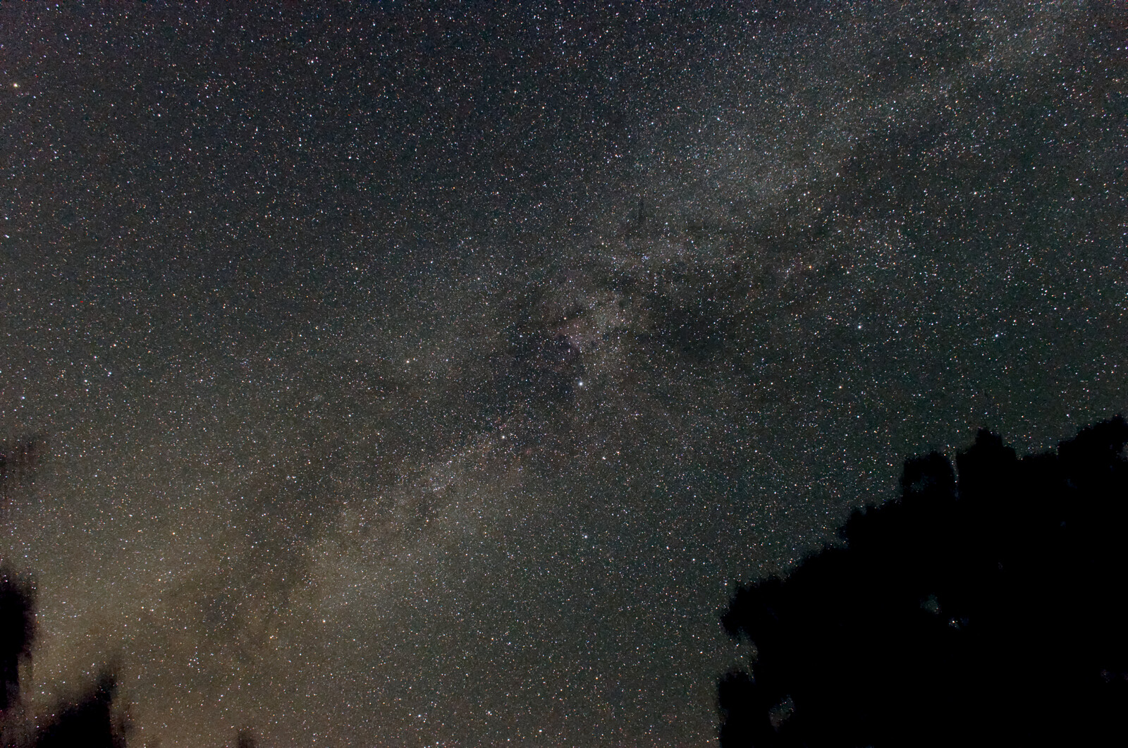 Milky Way, Cygnus region