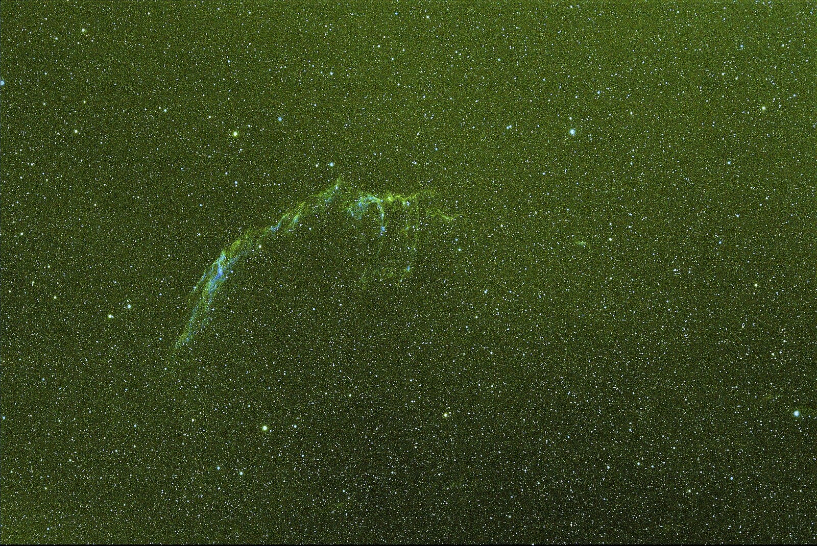 IC1340 Arctic Small