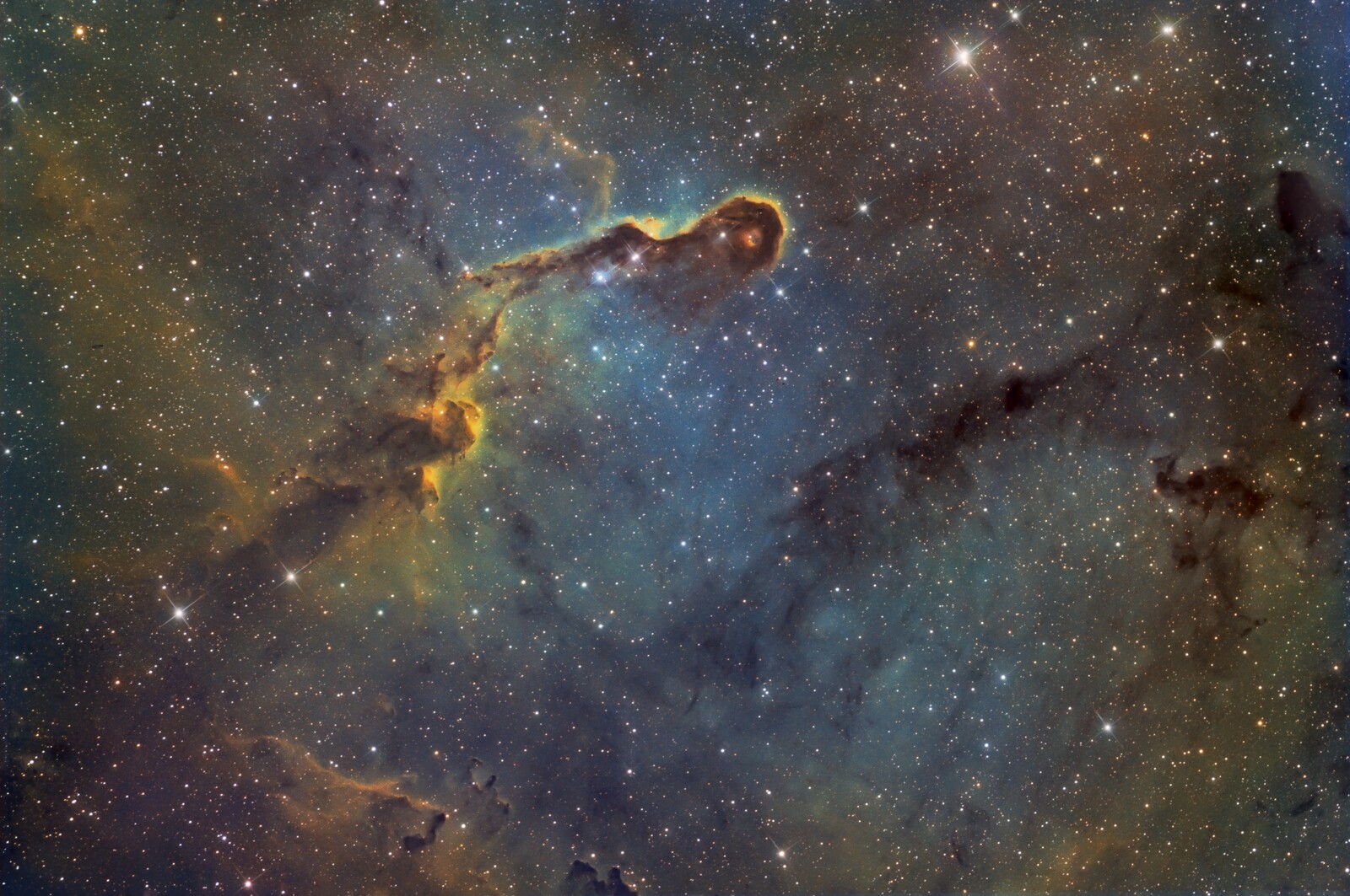 Elephant's Trunk Nebula (IC1396) - GSO 6" f/5 Newtonian (Jon Rista)