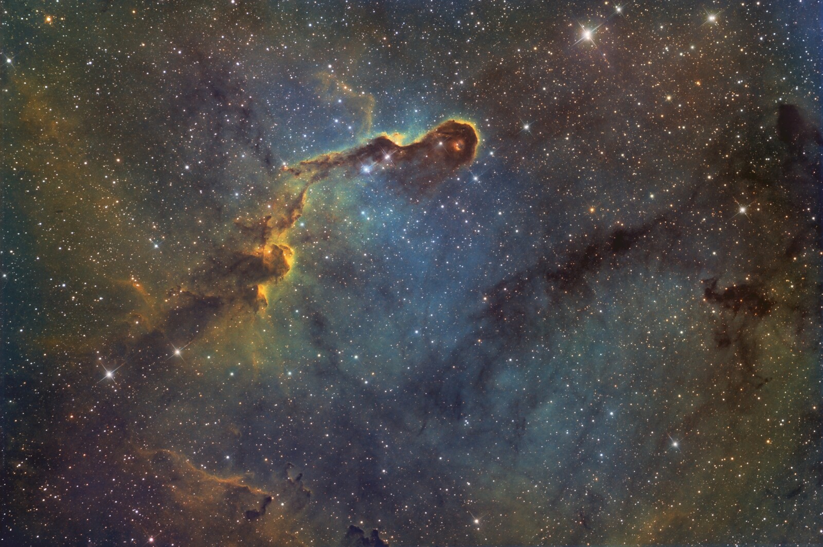 Elephant's Trunk Nebula (IC1396) - GSO 6" f/5 Newtonian (NoiseXTerminator)