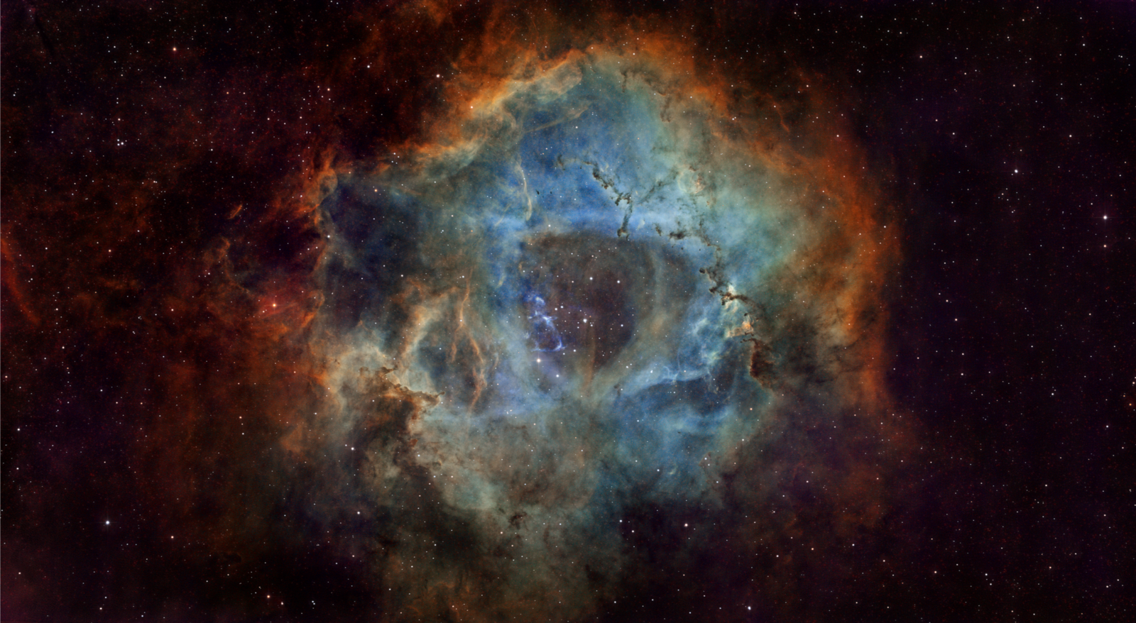 Rosette Nebula (C49)