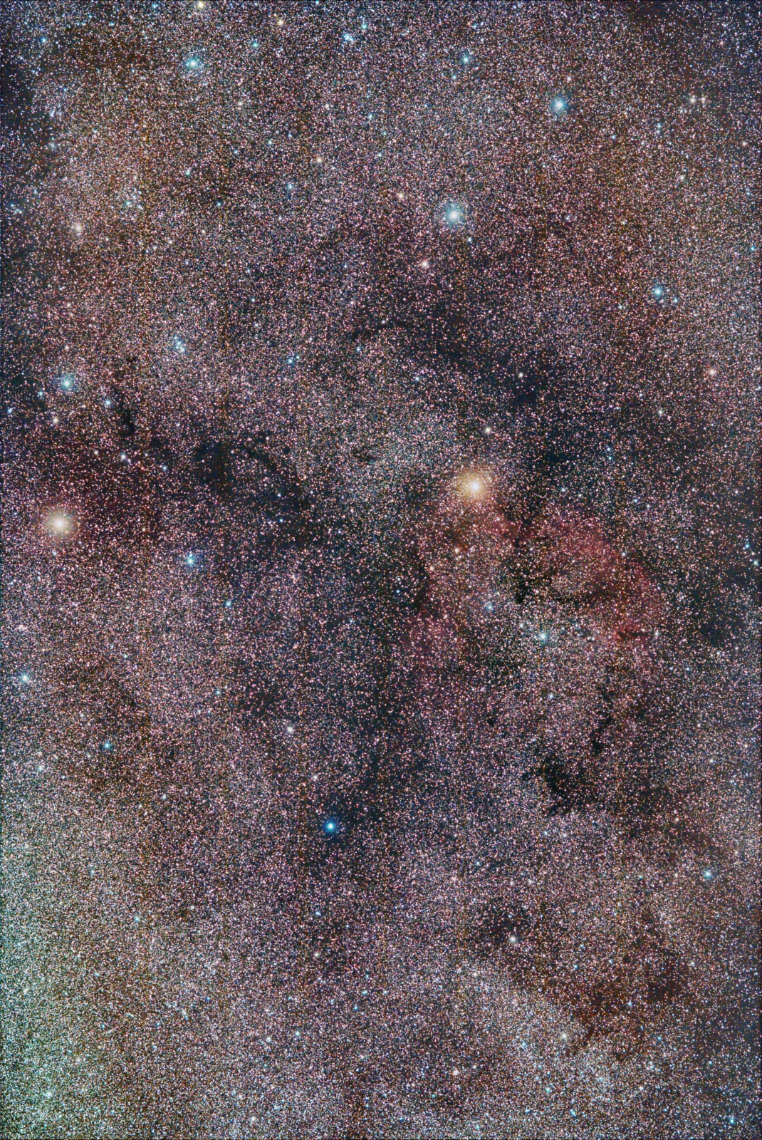 IC 1396 widefield; Samyang 135mm, only 11x1 min; mod. Canon 760d; from August 22nd 2022