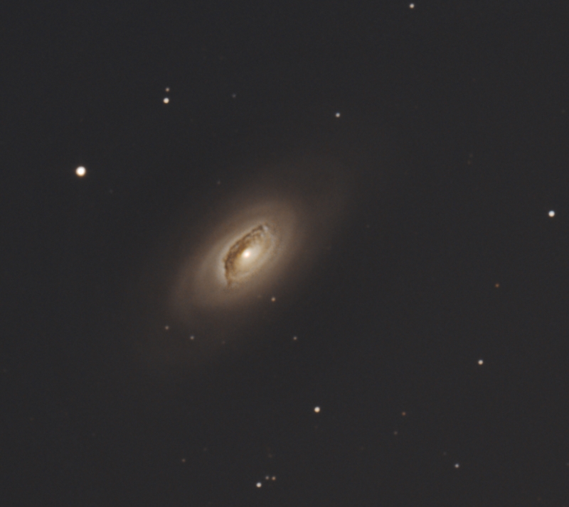 galaxy M64 from April 11th, 2019; 8" f/4 newtonian; mod. Canon77d, 330x30sec; uv_ir filter;
